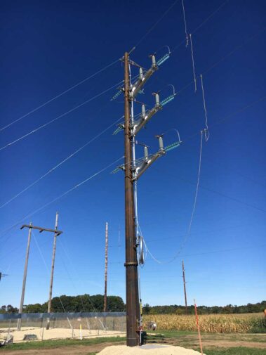 DAIRYLAND SWITCH POLE